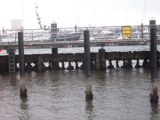 Mal wieder brachte der Sturm die Löcher in der Spundwand zur Baltic Bay zum Vorschein