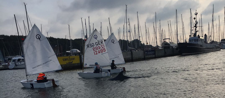 Der Delfin folgte den Optis in den Yachthafen