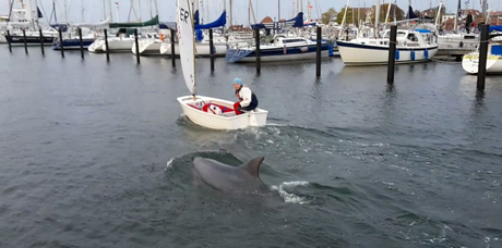 fand auch den Weg zurück aus dem Yachthafen