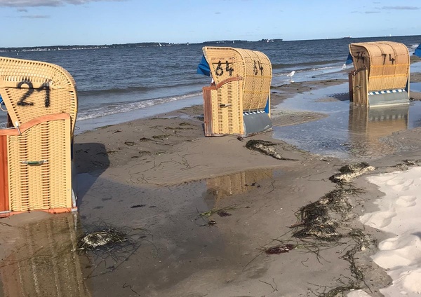 am Strand standen in der ersten Reihe die Strandkörbe im Wasser.