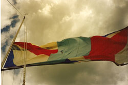 Zerbröselter Spinnaker